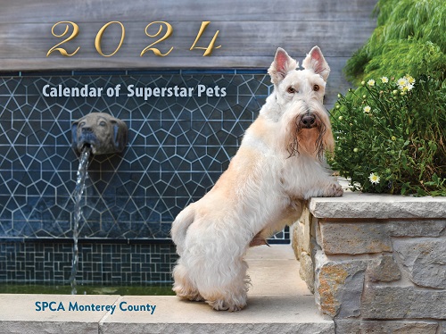 2024 pet calendars for sale!