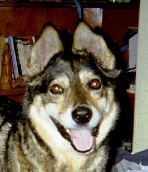 Cooper